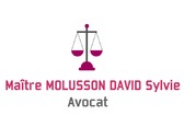 Maître MOLUSSON DAVID Sylvie