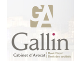 Maître Delphine Gallin